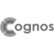 Cognos-Marketing
